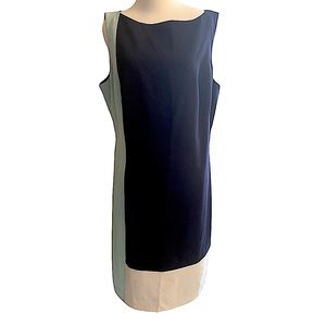 Ralph Lauren Color block dress!